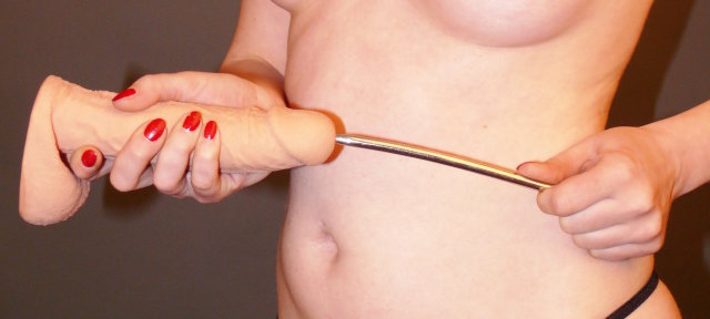 Dilatator nach Hegar (1Stück)