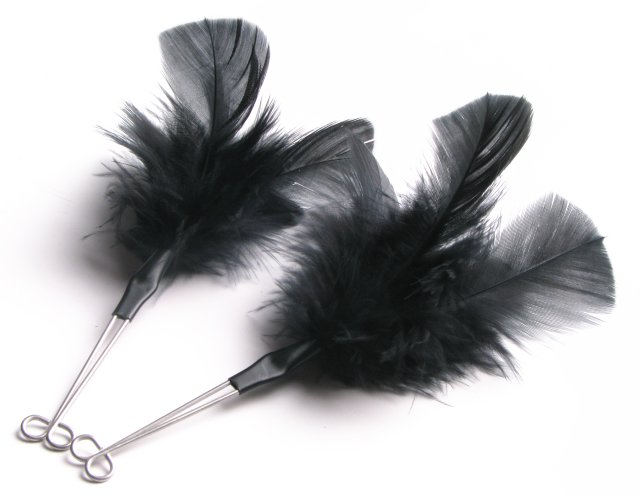 Federspange 01 Tit Clit Spiel